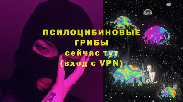 гидра Козельск