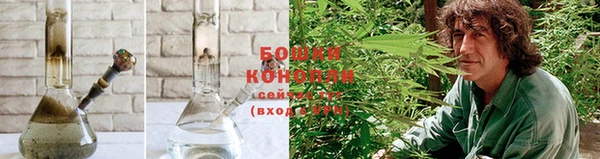 гидра Козельск