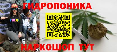 каннабис Канаш