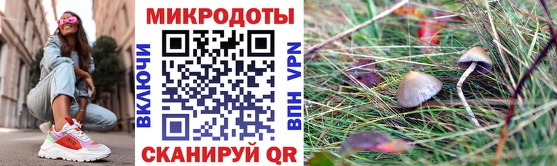 Псилоцибиновые грибы Cubensis  Кемерово 