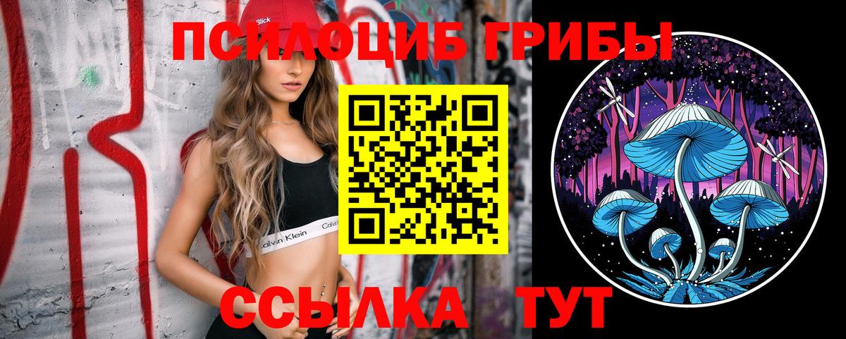 Кемерово  Псилоцибиновые грибы MAGIC MUSHROOMS  Вход с VPN 