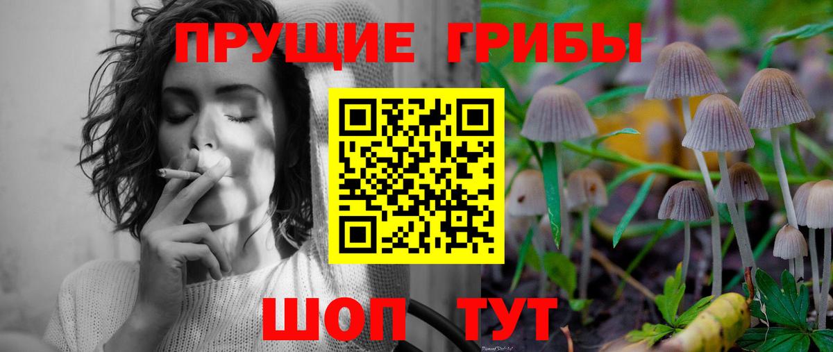 Псилоцибиновые грибы GOLDEN TEACHER Кемерово